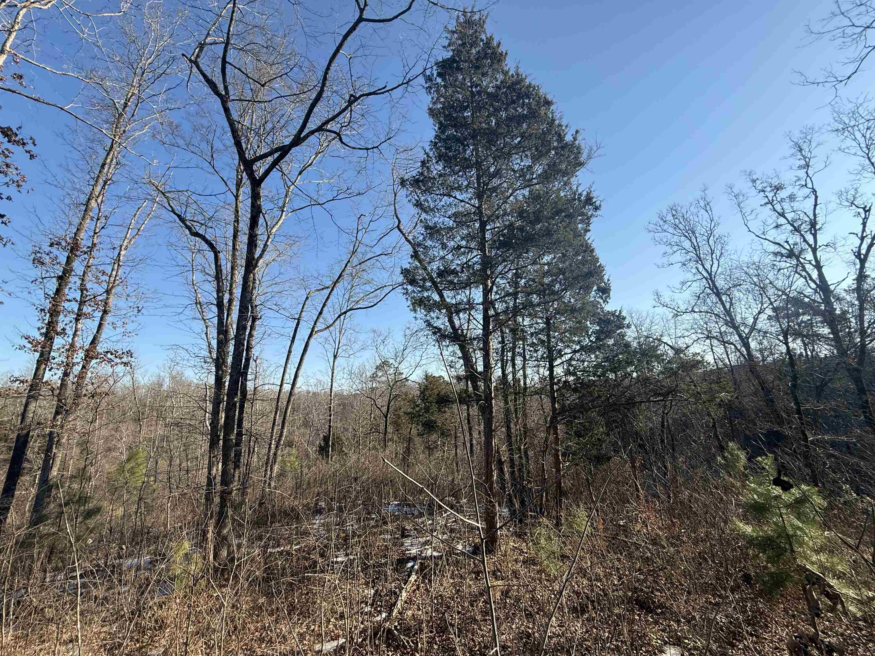 25 New Union Loop Medon, TN 38356 - Photo 20 of 35