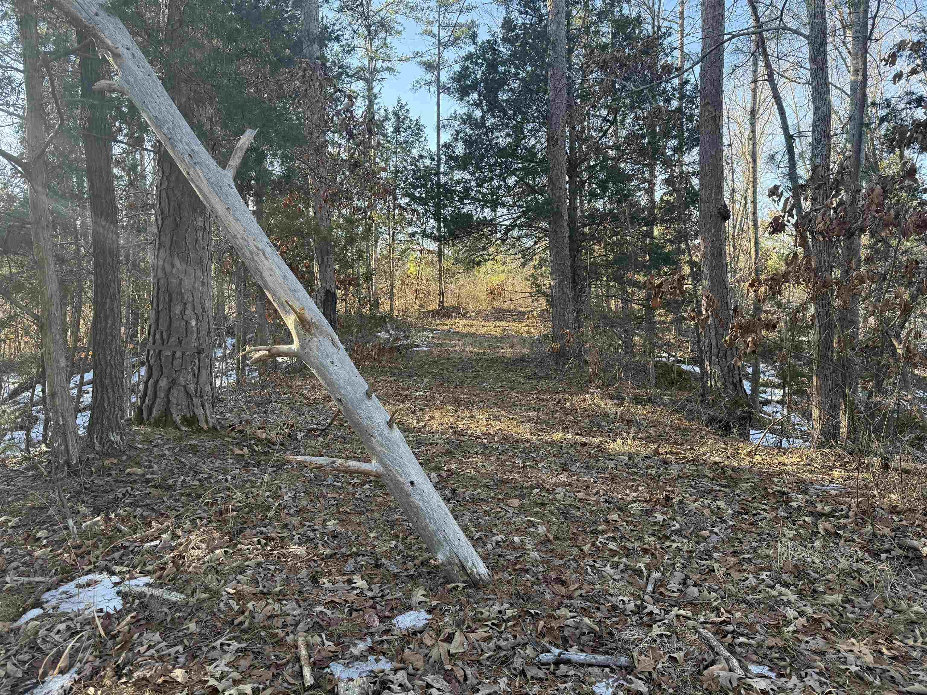 25 New Union Loop Medon, TN 38356 - Photo 21 of 35