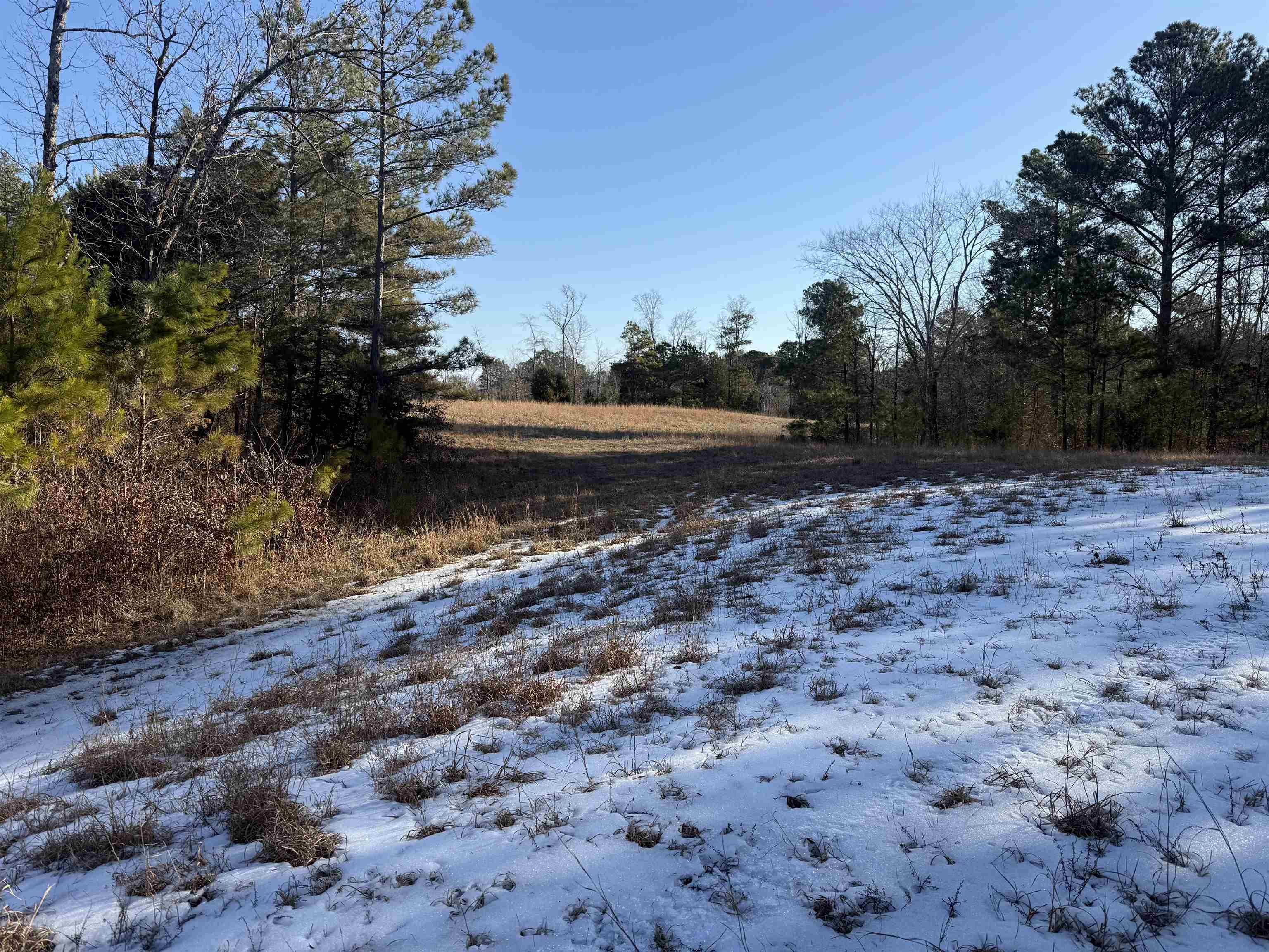 25 New Union Loop Medon, TN 38356 - Photo 22 of 35