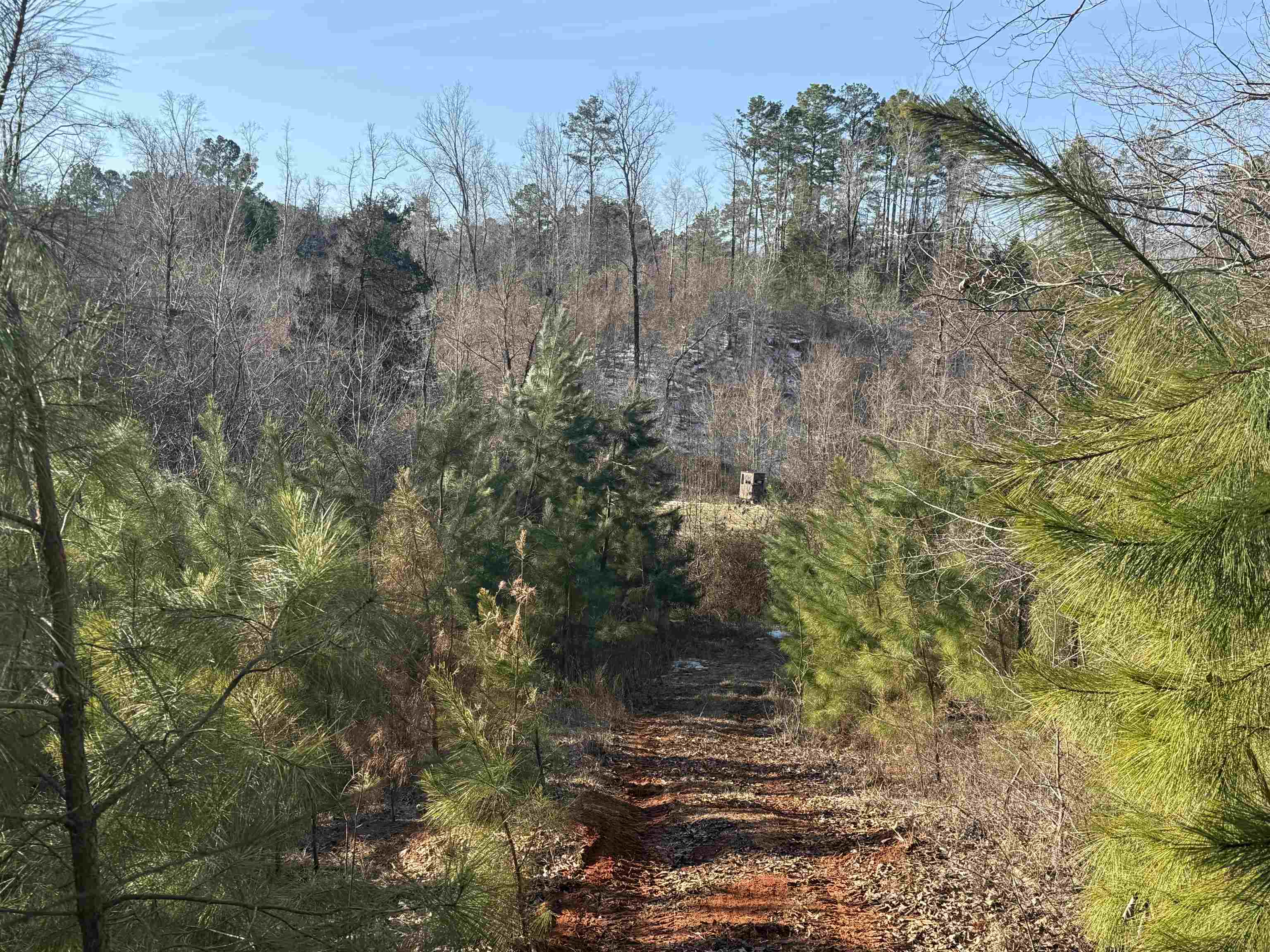 25 New Union Loop Medon, TN 38356 - Photo 26 of 35