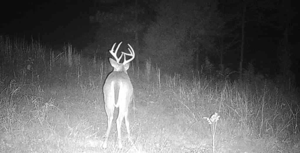 25 New Union Loop Medon, TN 38356 - Photo 31 of 35