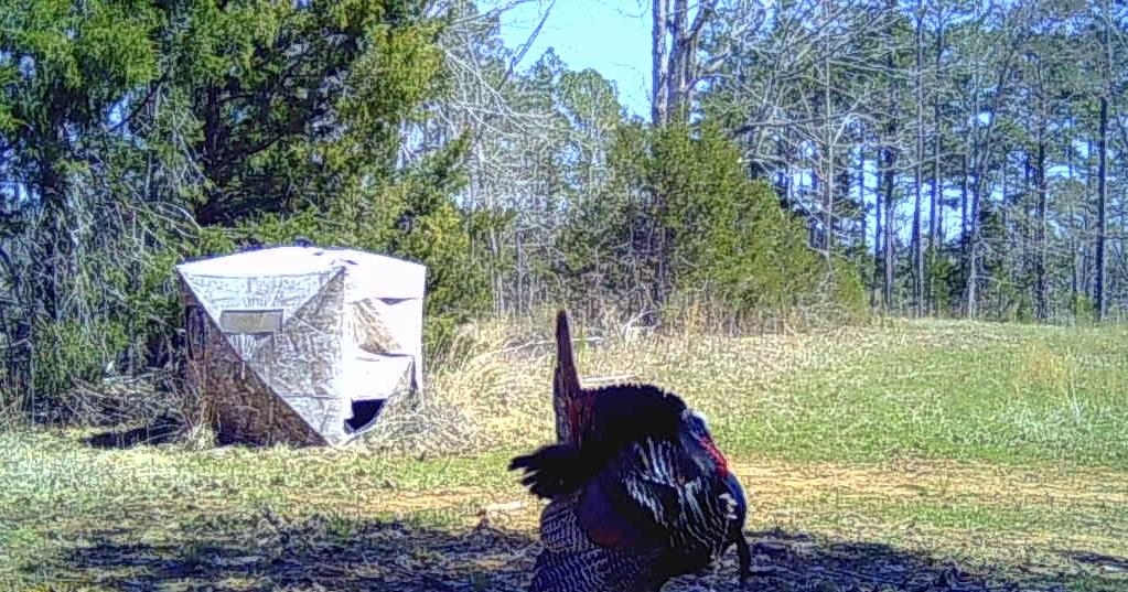 25 New Union Loop Medon, TN 38356 - Photo 32 of 35