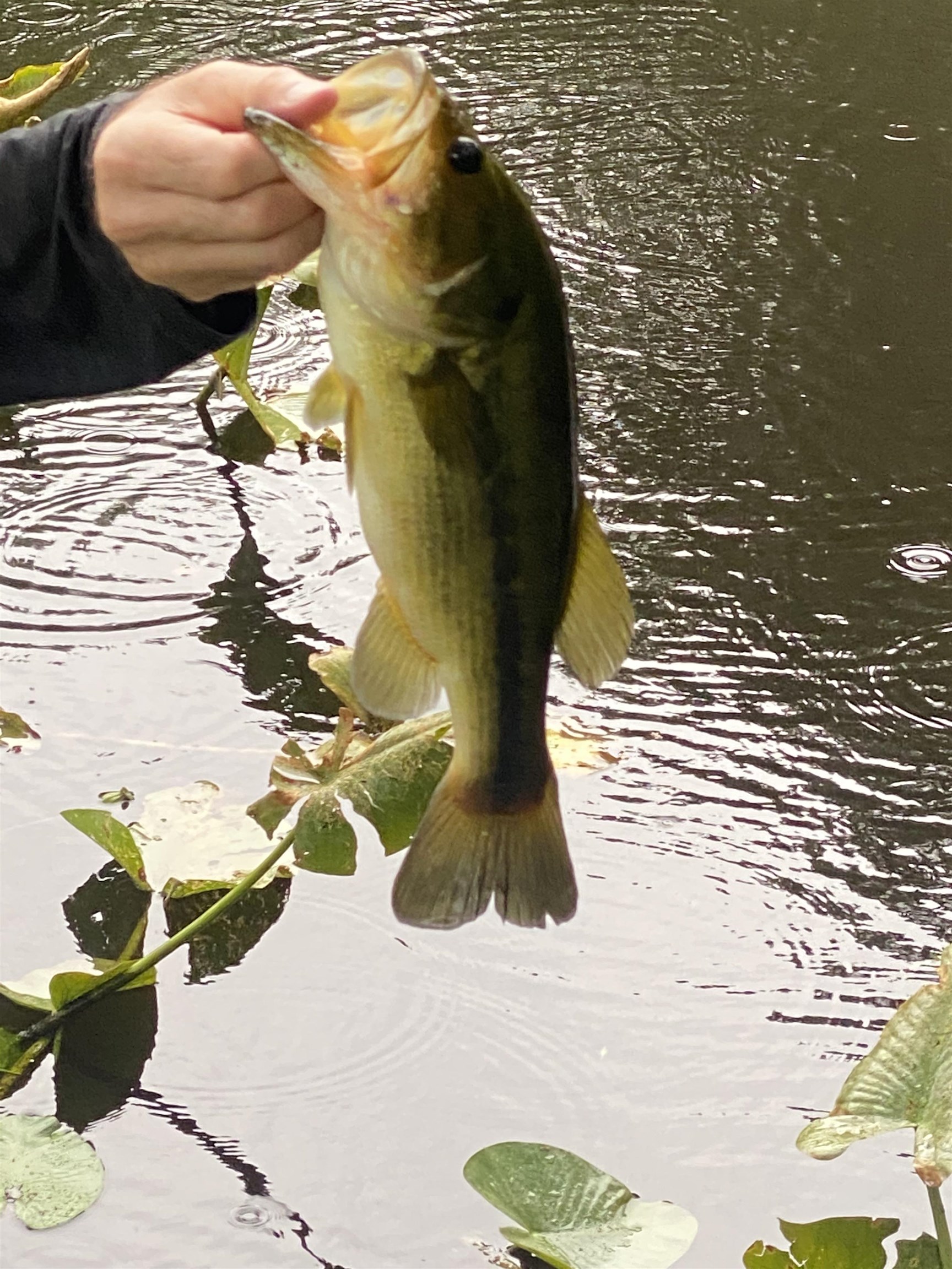 25 New Union Loop Medon, TN 38356 - Photo 34 of 35