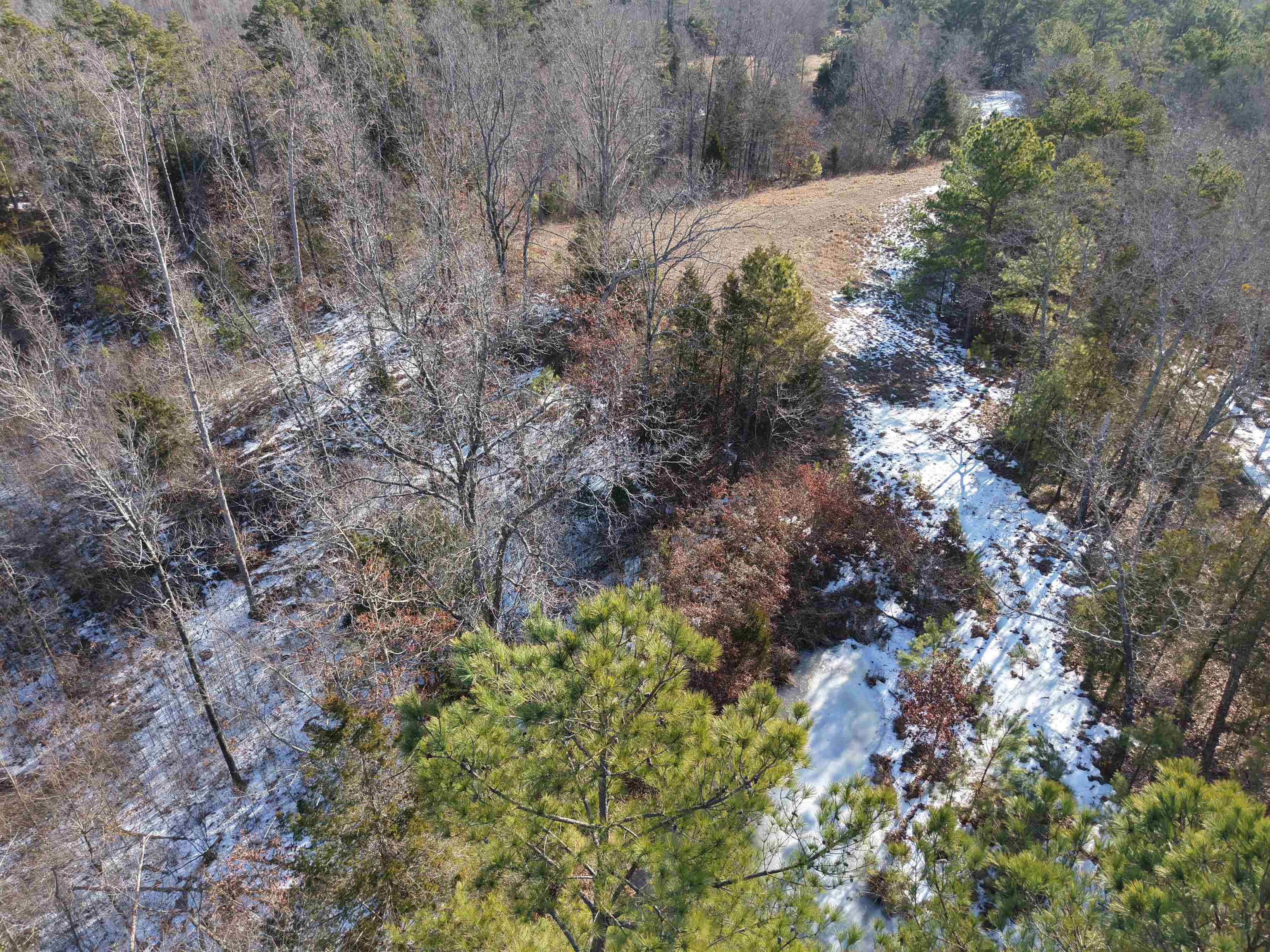 25 New Union Loop Medon, TN 38356 - Photo 5 of 35