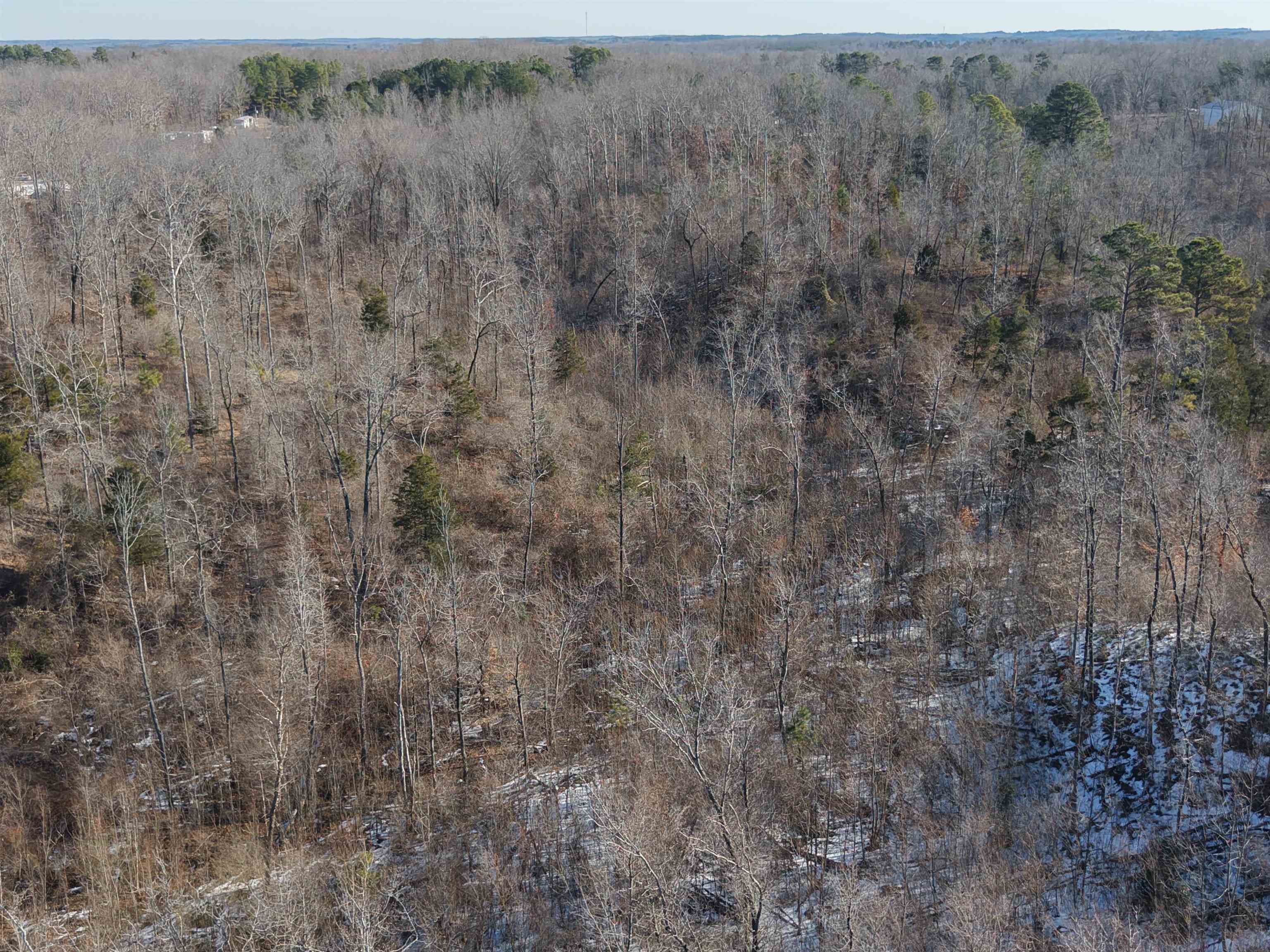 25 New Union Loop Medon, TN 38356 - Photo 6 of 35