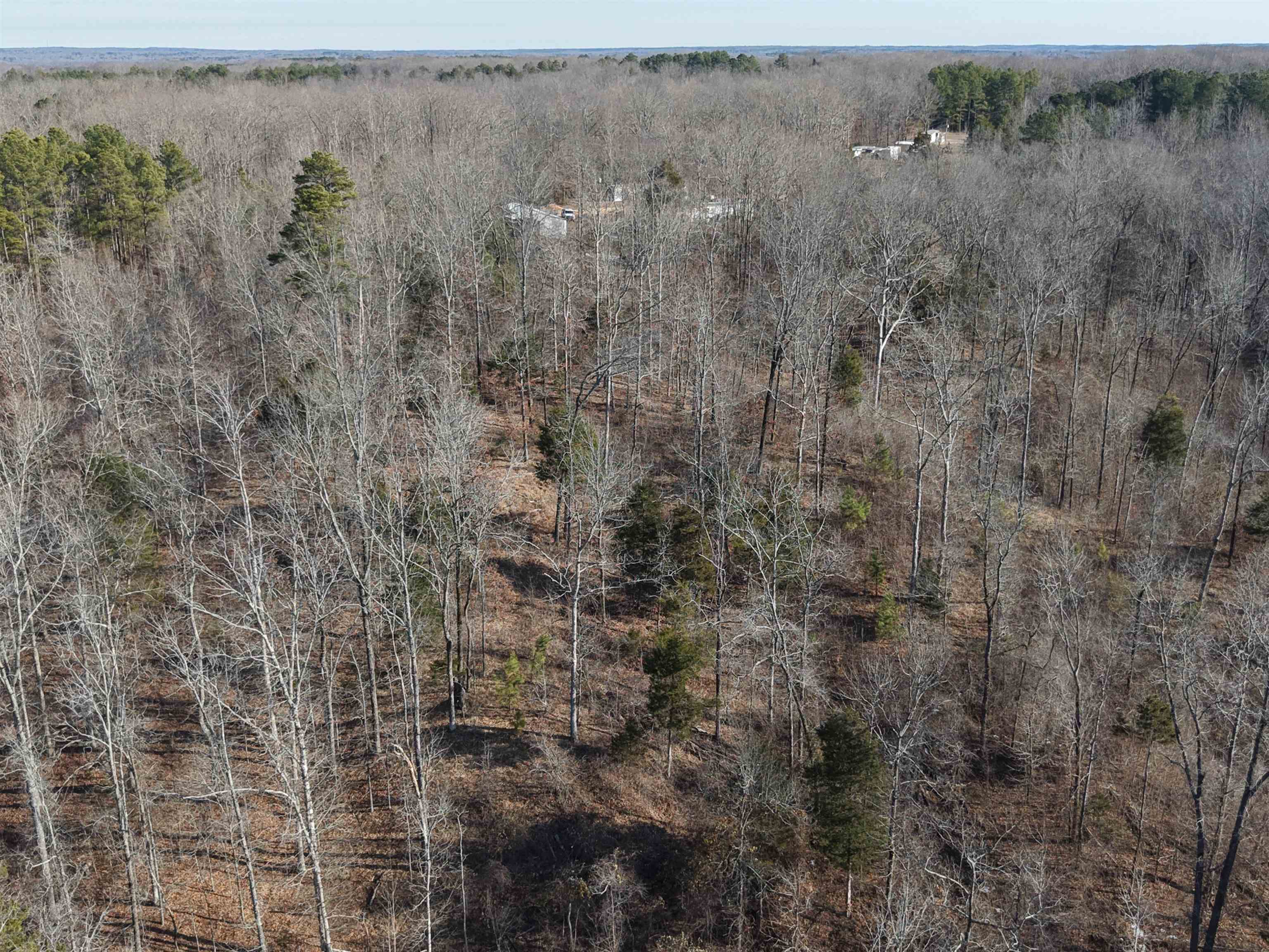 25 New Union Loop Medon, TN 38356 - Photo 7 of 35