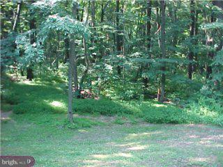 40 Rock Ridge Morgantown, PA 19543 - Photo 2 of 6 Gallery Image 2