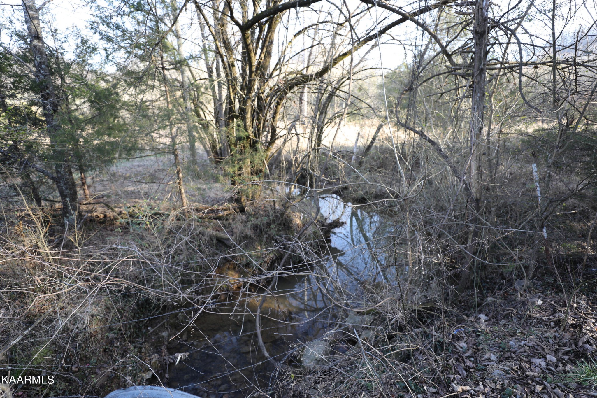 0 Sleepy Valley Road Madisonville, TN 37354 - Photo 10 of 24 Gallery Image 10