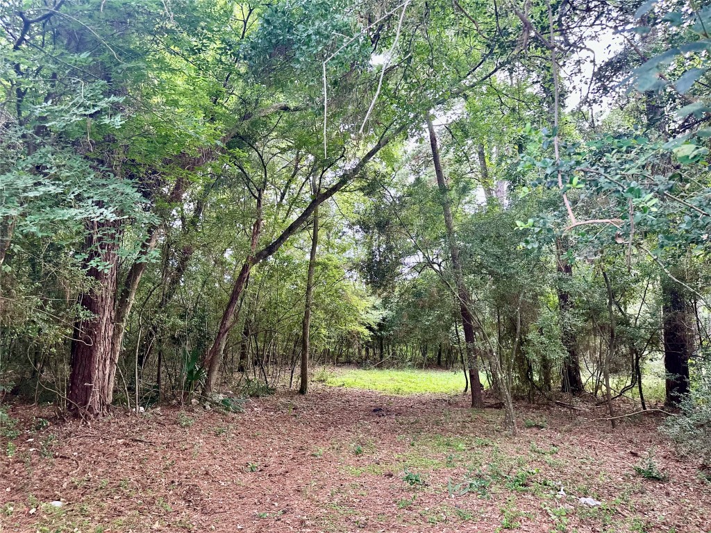 0 St Lawrence River Road Montgomery, TX 77316 - Photo 1 of 15 a view of a yard with a trees