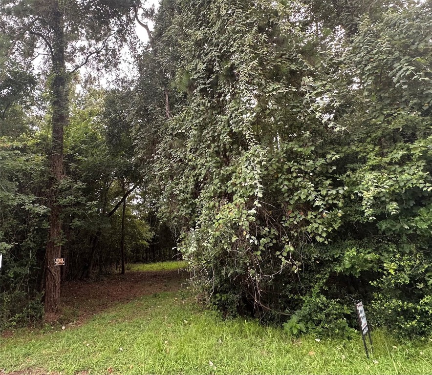 0 St Lawrence River Road Montgomery, TX 77316 - Photo 11 of 15 a view of backyard with green space