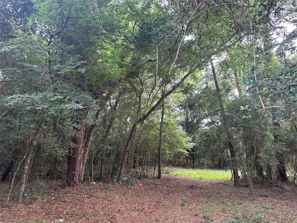 0 St Lawrence River Road Montgomery, TX 77316 - Photo 13 of 15 a view of a trees with a tree