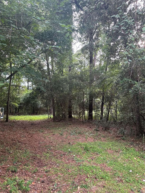 0 St Lawrence River Road Montgomery, TX 77316 - Photo 15 of 15 a view of a forest with trees in the background