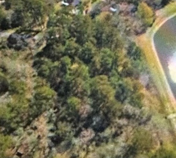 0 St Lawrence River Road Montgomery, TX 77316 - Photo 3 of 15 a view of a forest