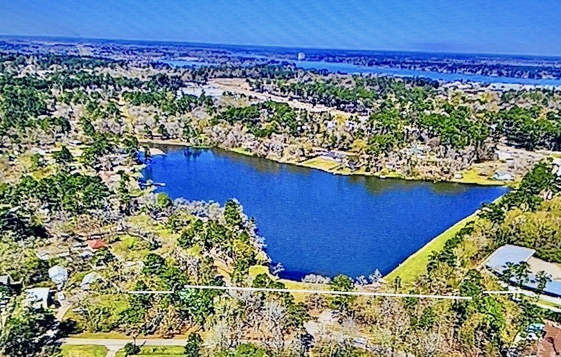 0 St Lawrence River Road Montgomery, TX 77316 - Photo 4 of 15 a view of a garden with an outdoor space