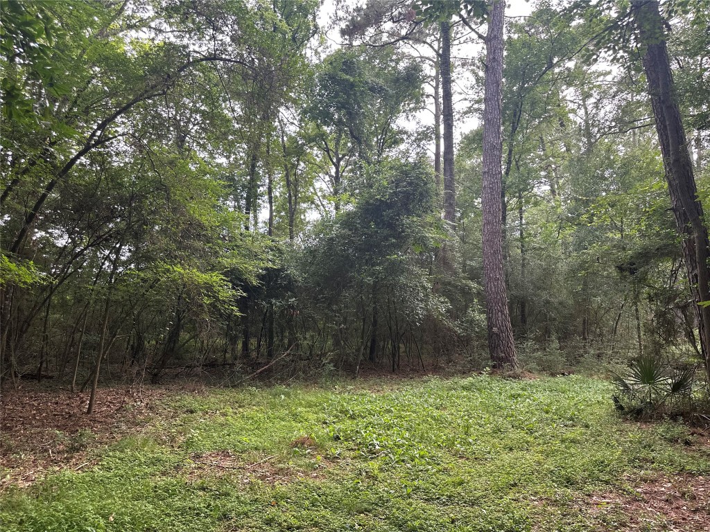 0 St Lawrence River Road Montgomery, TX 77316 - Photo 7 of 15 a backyard of a house with lots of green space