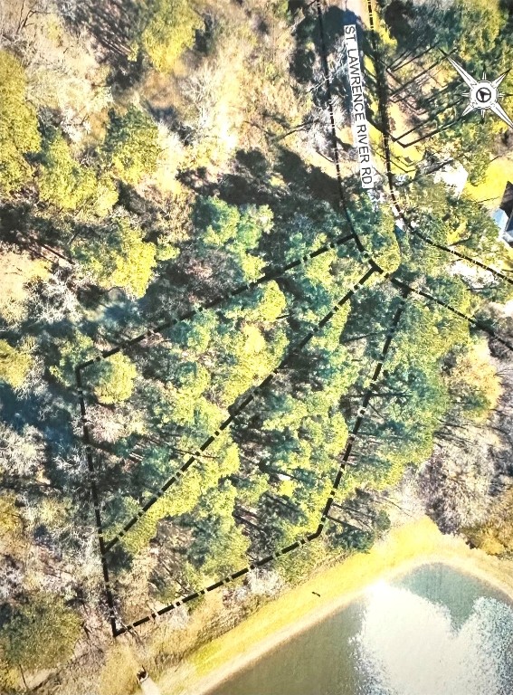 0 St Lawrence River Road Montgomery, TX 77316 - Photo 8 of 15 a view of yard from a tree