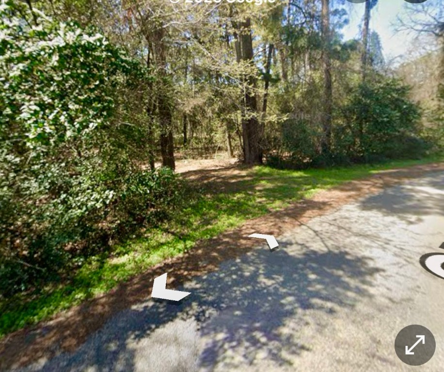 0 St Lawrence River Road Montgomery, TX 77316 - Photo 10 of 15 a view of yard