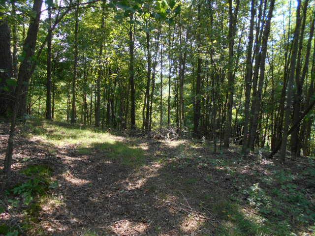 . Hoffman Road New Bethlehem, PA 16242 - Photo 1 of 9 a view of outdoor space with trees