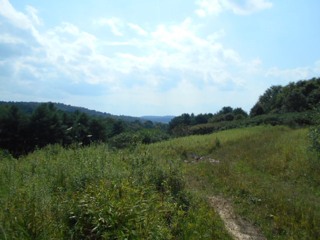 . Hoffman Road New Bethlehem, PA 16242 - Photo 2 of 9 a view of a lake and green valley