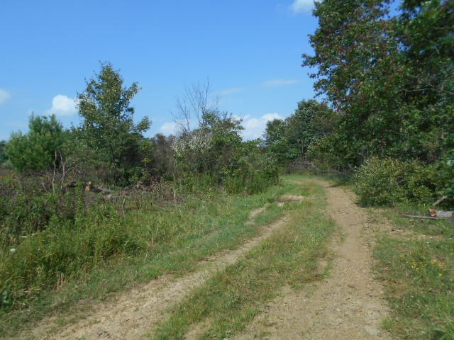 . Hoffman Road New Bethlehem, PA 16242 - Photo 6 of 9 a view of a lush green space