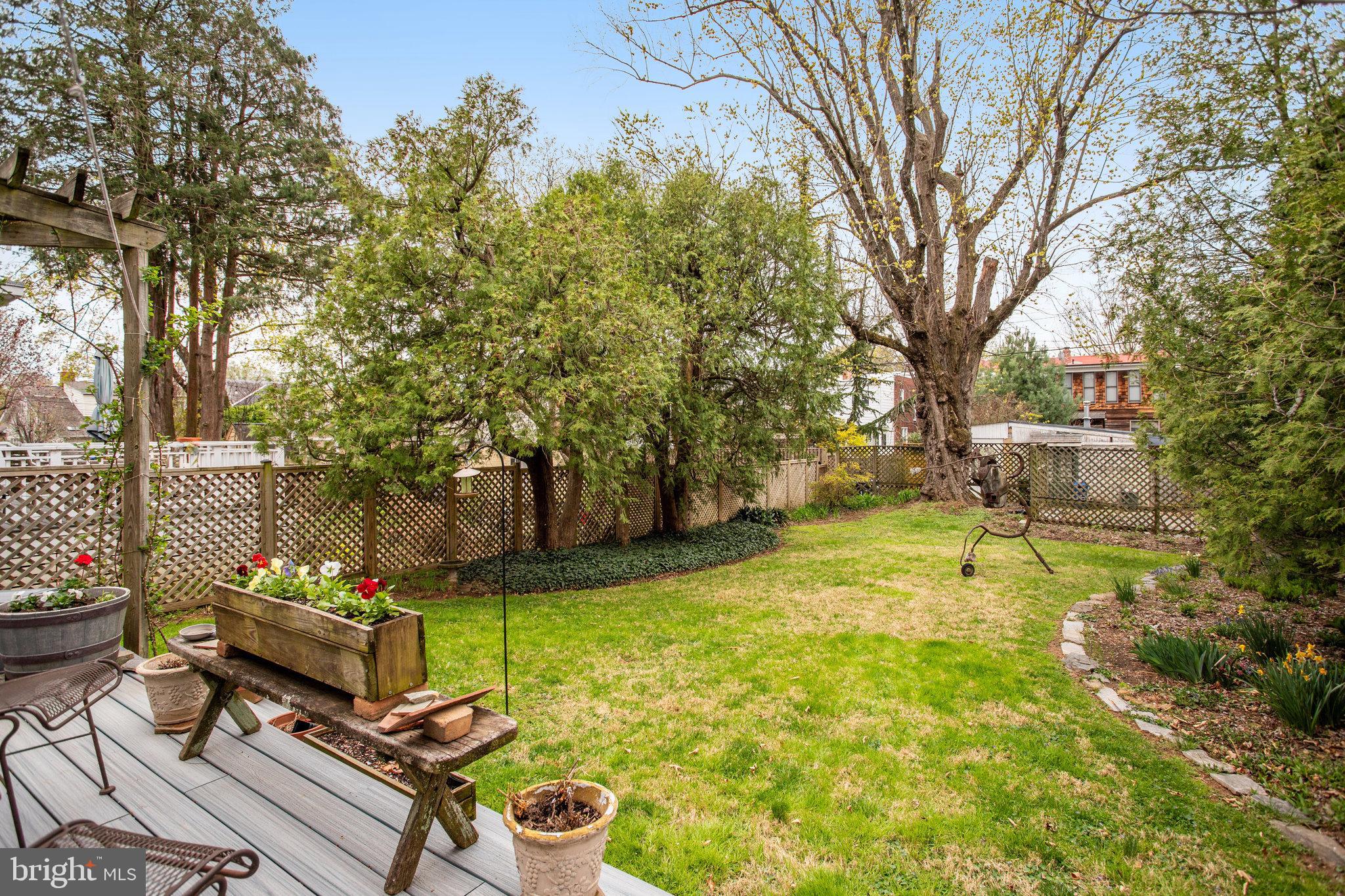 4920 43rd Place Northwest Washington, DC 20016 - Photo 22 of 25 a view of a backyard with plants and tree s