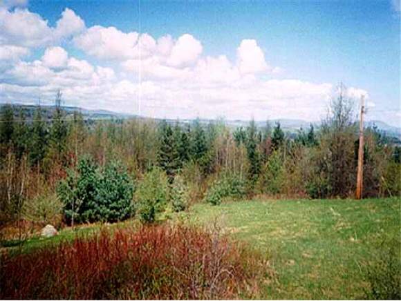4950 Pine Hill Road Coventry, VT 05855 - Photo 1 of 1 Gallery Image 1