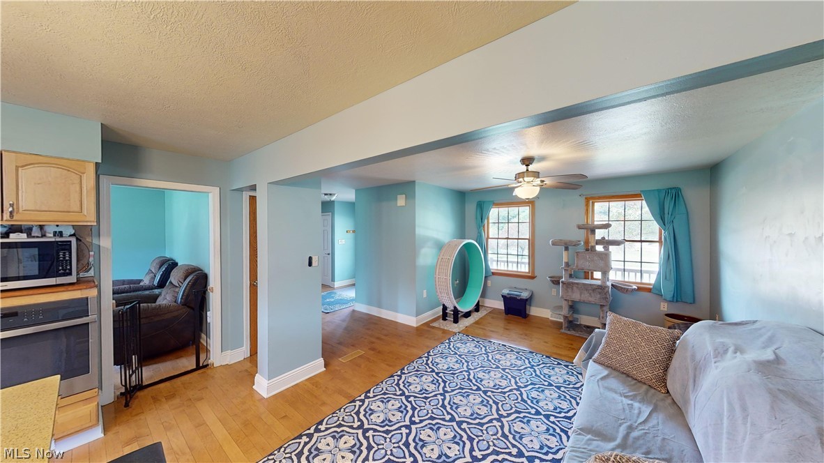 290 McIntosh Road Chester, WV 26034 - Photo 5 of 43 Living room featuring ceiling fan, a textured ceiling, and light hardwood / wood-style flooring