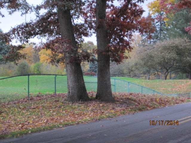1027 Park Road Jackson, MI 49203 - Photo 35 of 47 Hill on Golfcourse