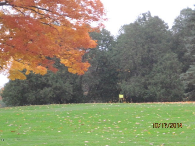 1027 Park Road Jackson, MI 49203 - Photo 36 of 47 5th Tee Flag