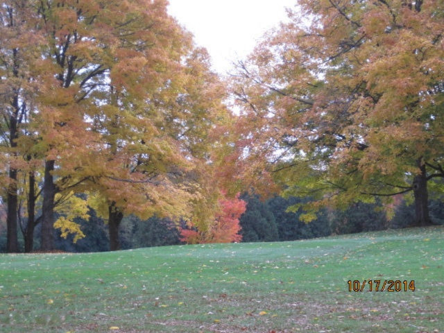 1027 Park Road Jackson, MI 49203 - Photo 37 of 47 Fall Color on Golfcourse