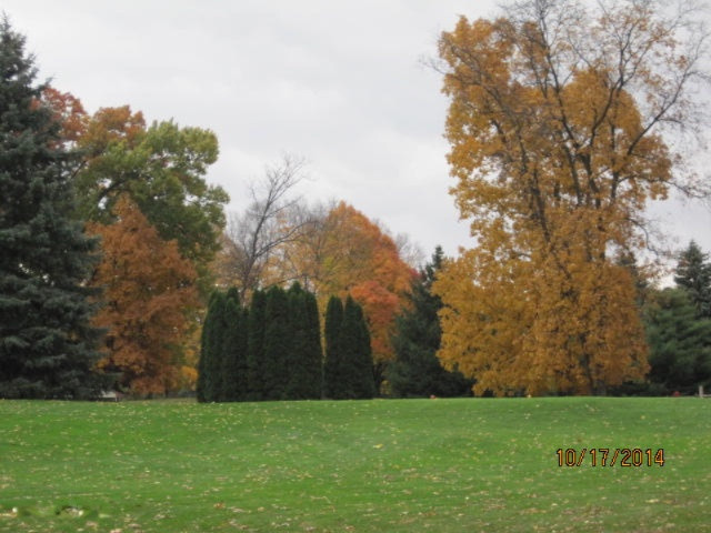 1027 Park Road Jackson, MI 49203 - Photo 38 of 47 Gorgeous Fall Color