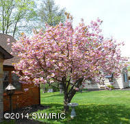 1027 Park Road Jackson, MI 49203 - Photo 43 of 47 1027 park new flowering tree