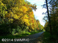 1027 Park Road Jackson, MI 49203 - Photo 45 of 47 1027 Park new falling waters park