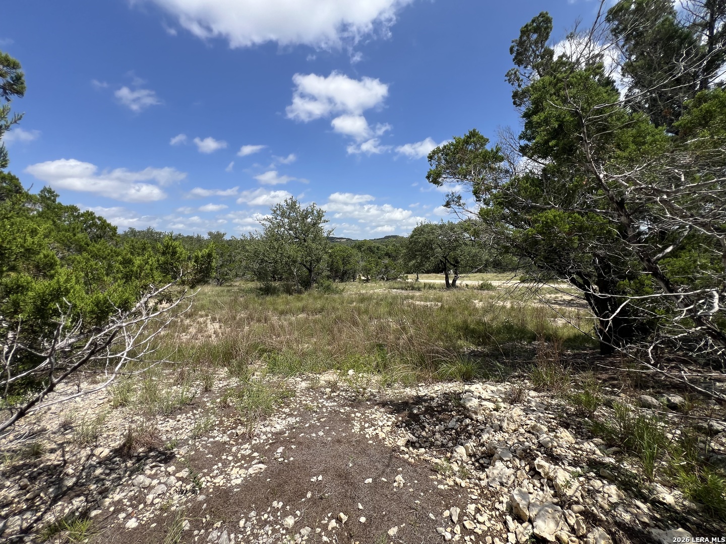 1188 Cliff Drive Spring Branch, TX 78070 - Photo 7 of 11