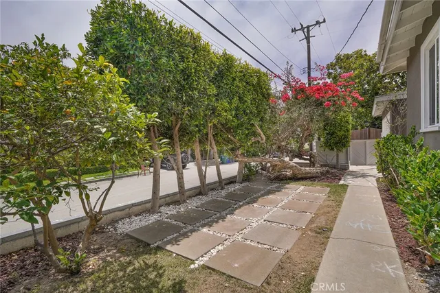 a view of a backyard with potted plants