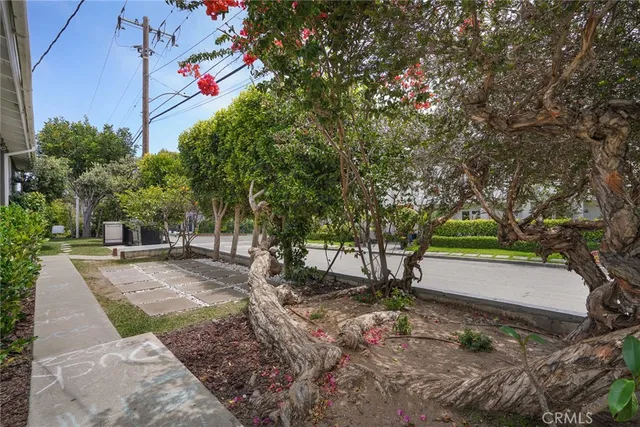 a view of a yard with plants and trees