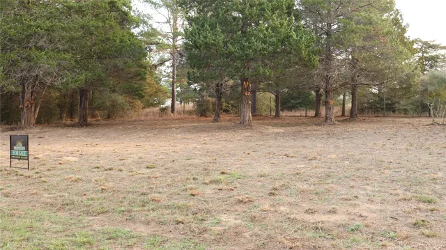 a view of a yard with trees
