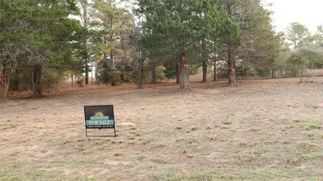 a backyard of a house with a tree