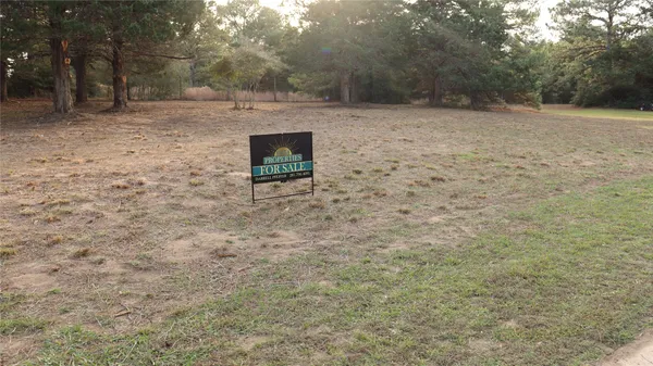 a view of backyard with trees