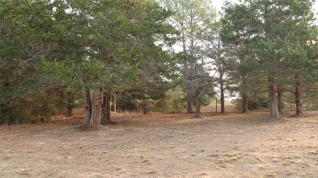 a backyard of a house with lots of trees