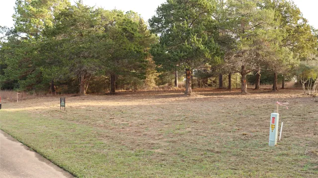 a view of yard with tree