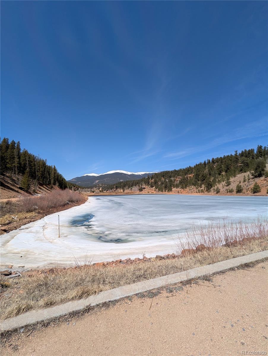 53 O'Brien Road Bailey, CO 80421 - Photo 49 of 49 a view of a yard with an ocean beach