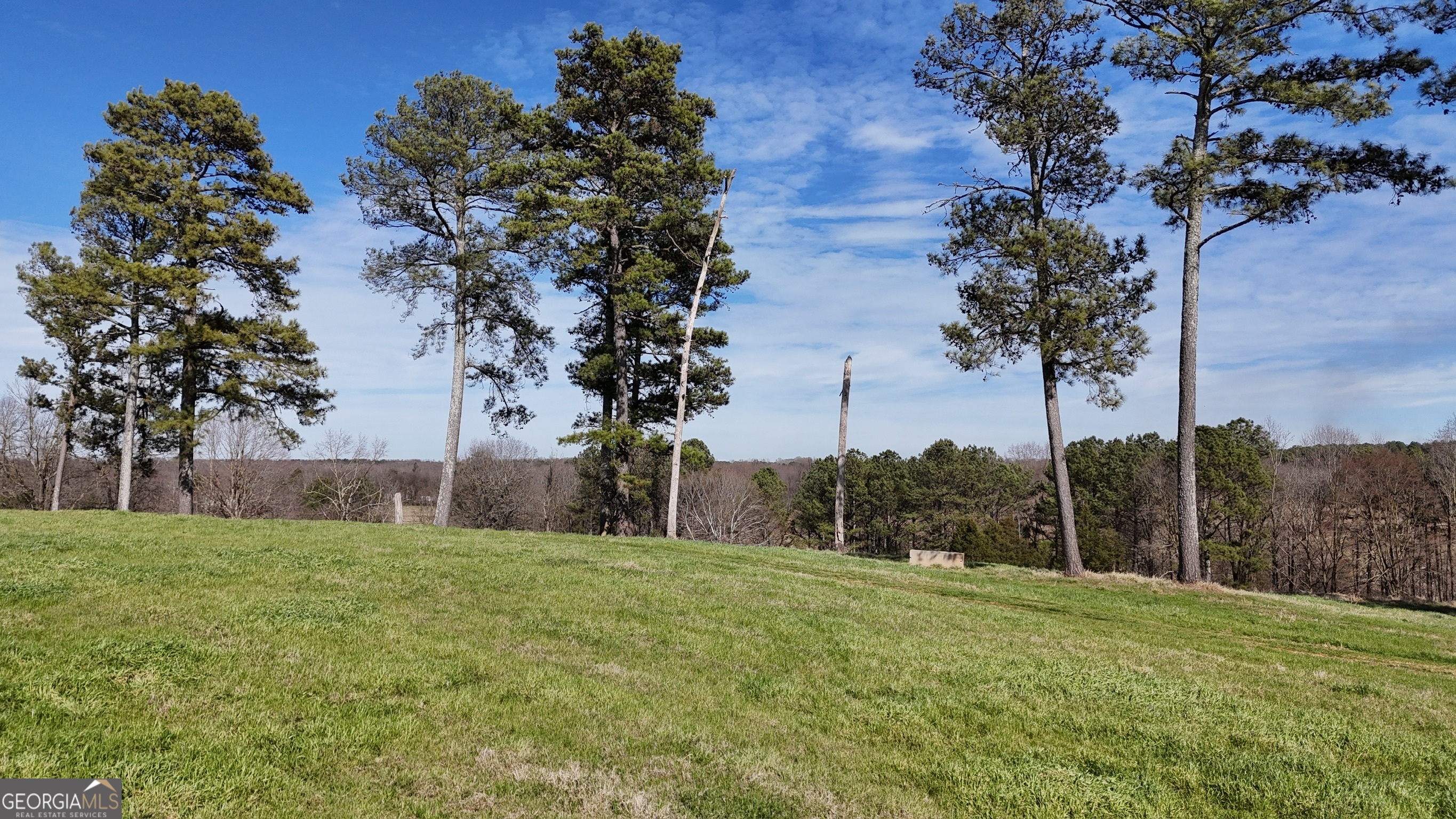 21 Jess Lane Commerce, GA 30530 - Photo 12 of 52 a view of a backyard with large trees