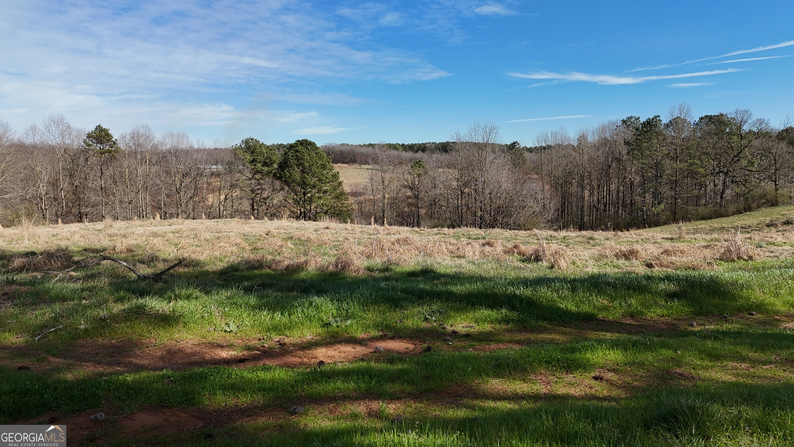 21 Jess Lane Commerce, GA 30530 - Photo 15 of 52 a view of mountain with green space