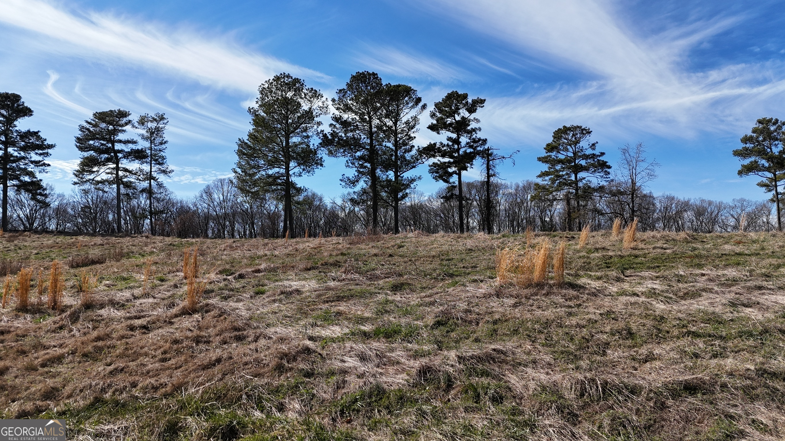 21 Jess Lane Commerce, GA 30530 - Photo 16 of 52