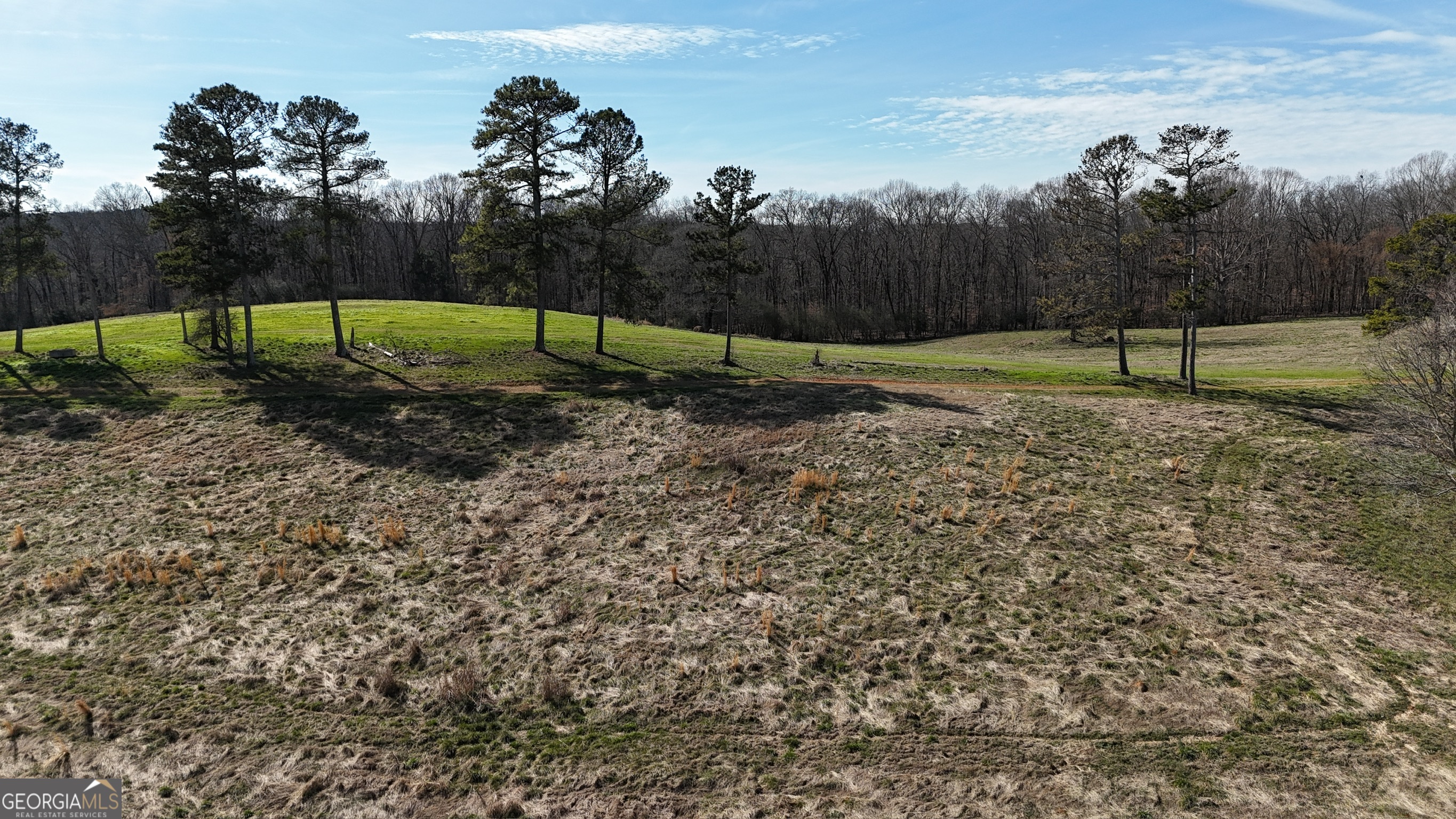 21 Jess Lane Commerce, GA 30530 - Photo 17 of 52 a view of a park