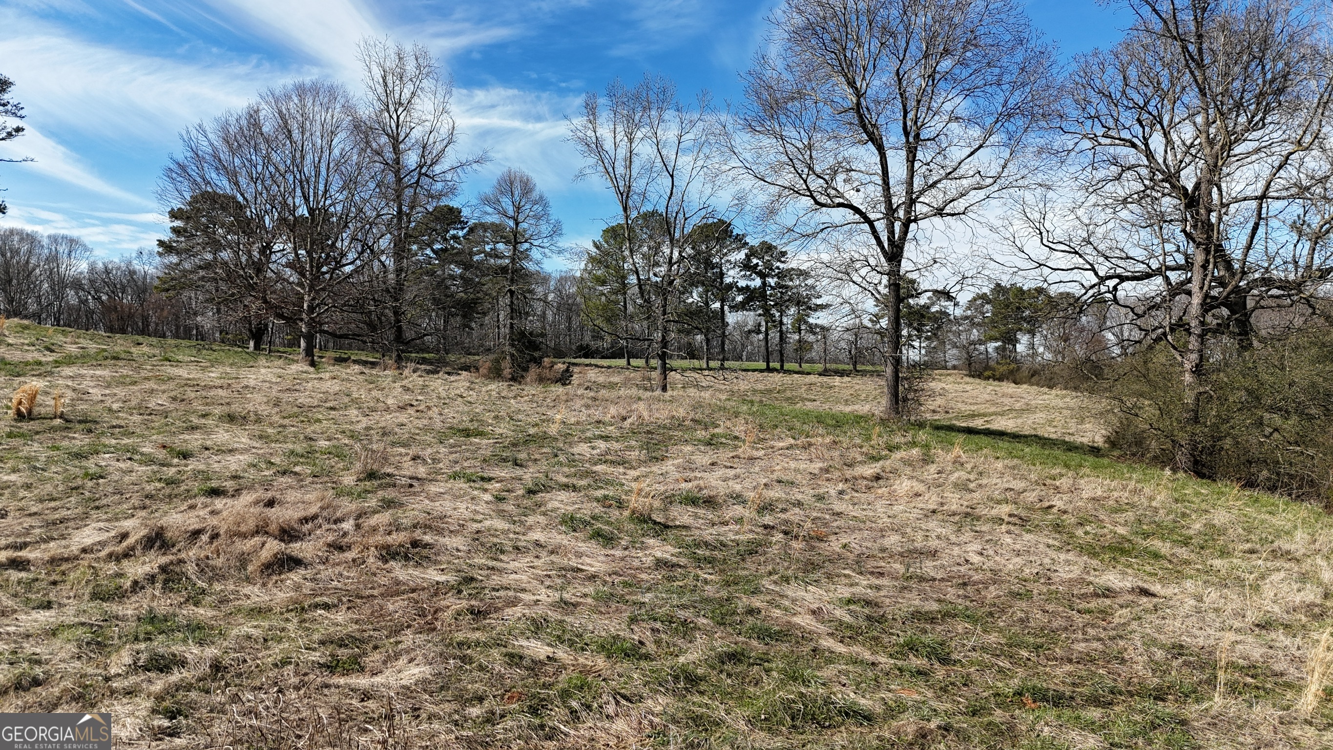 21 Jess Lane Commerce, GA 30530 - Photo 18 of 52 a backyard of a house with large trees