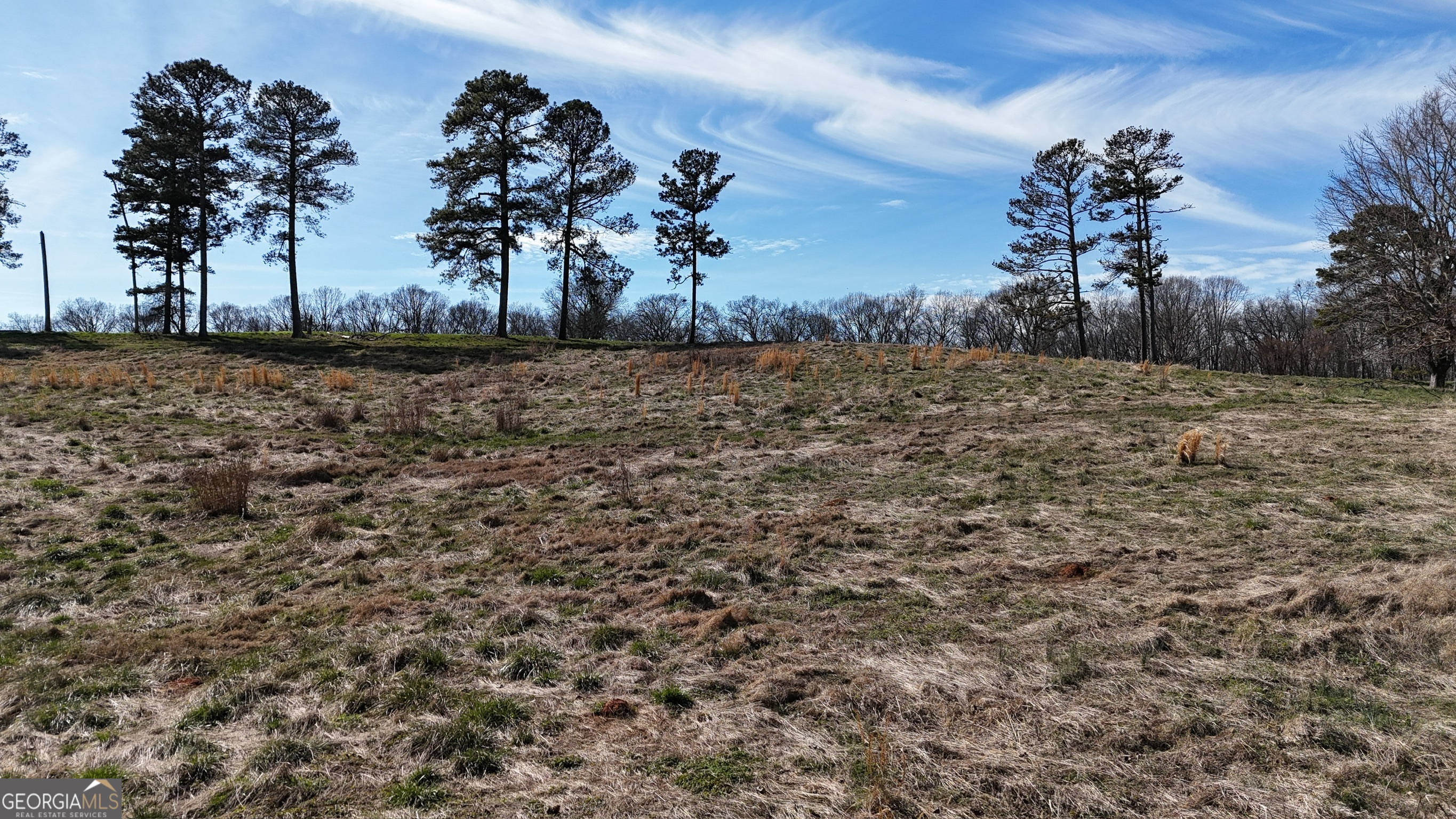 21 Jess Lane Commerce, GA 30530 - Photo 19 of 52 a vase of flowers sitting on a floor
