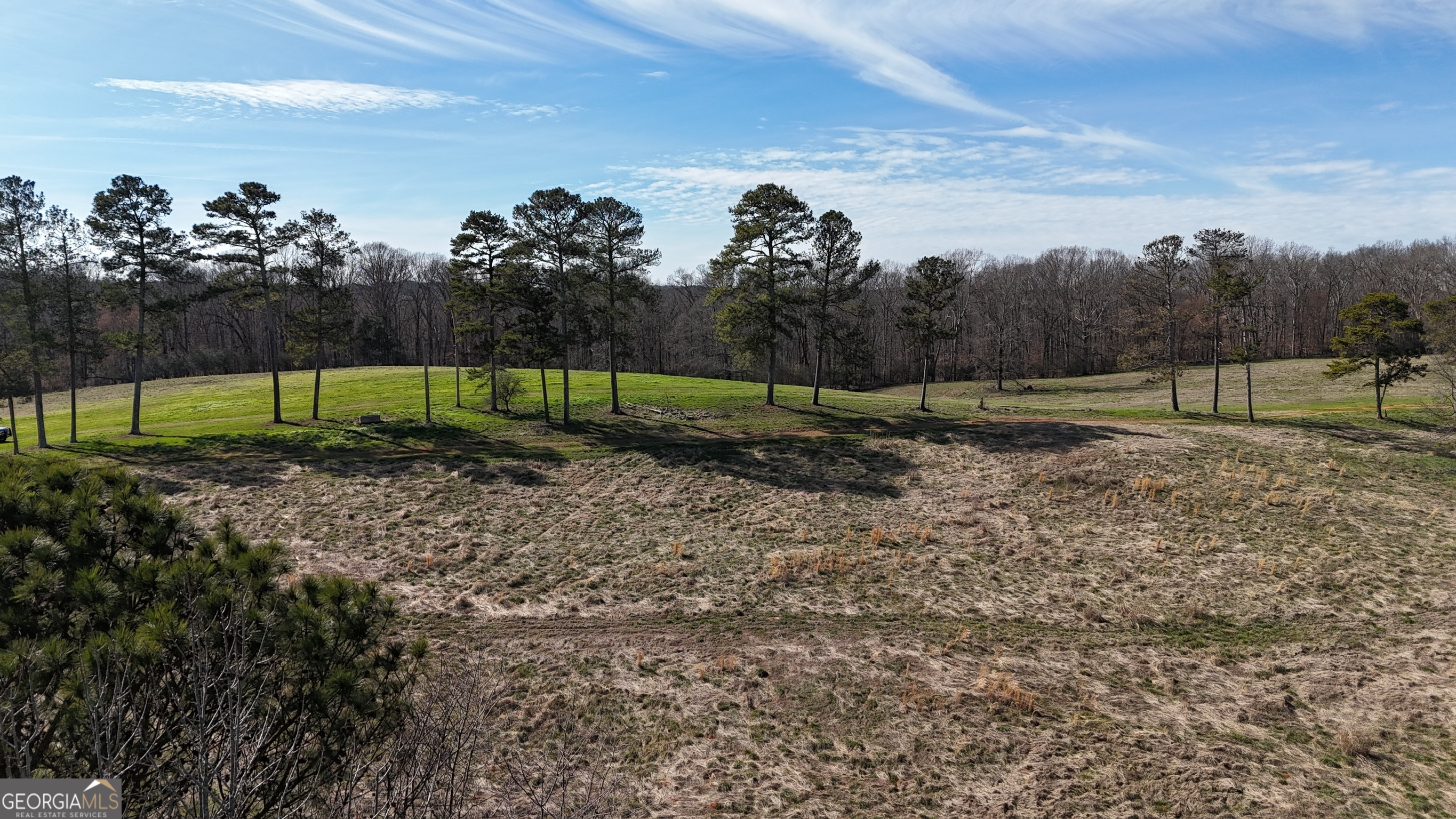 21 Jess Lane Commerce, GA 30530 - Photo 20 of 52 a view of outdoor space and yard