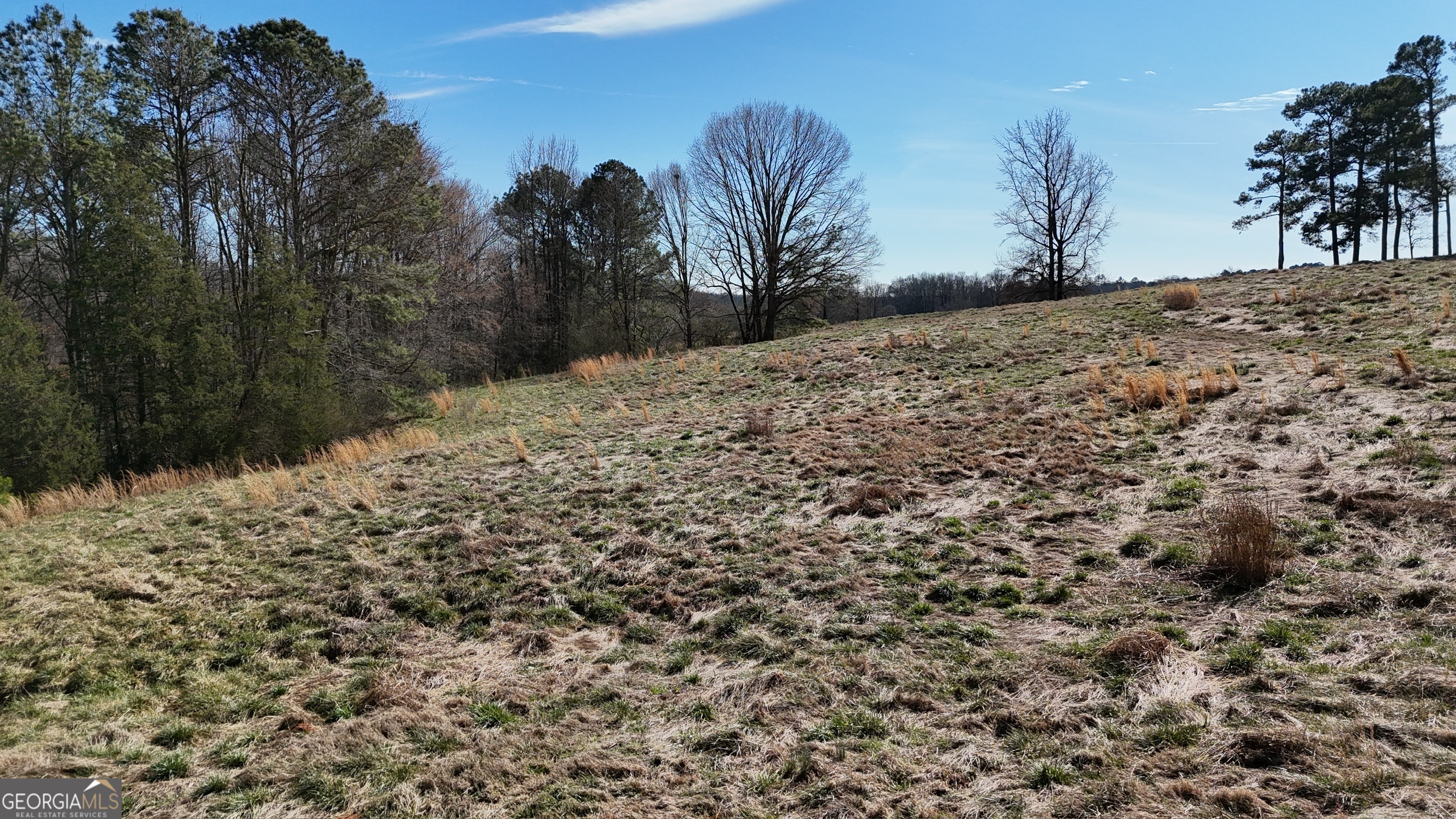 21 Jess Lane Commerce, GA 30530 - Photo 21 of 52 a view of a yard covered with snow